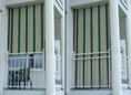 Balkon-Sichtschutz Design Nr. 9100